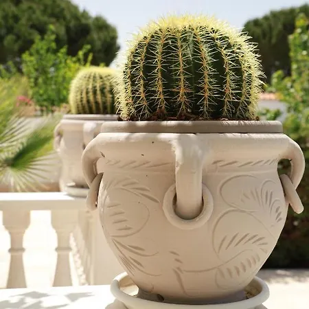 Villa Luxury Vale Locorotondo